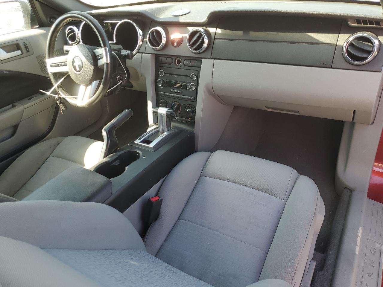 2008 Ford Mustang VIN: 1ZVHT84N985188107 Lot: 81092035