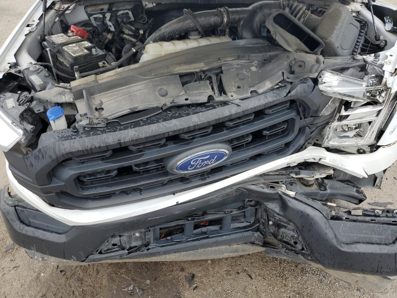 2021 Ford F150 Supercrew VIN: 1FTEW1CP4MFC76364 Lot: 83938825