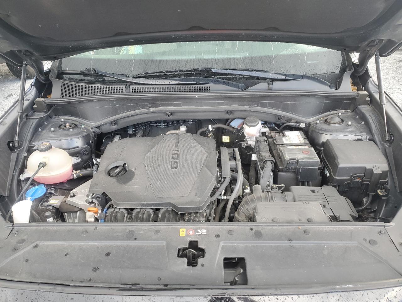 2022 Hyundai Santa Fe Sel VIN: 5NMS24AJ1NH447302 Lot: 81159815