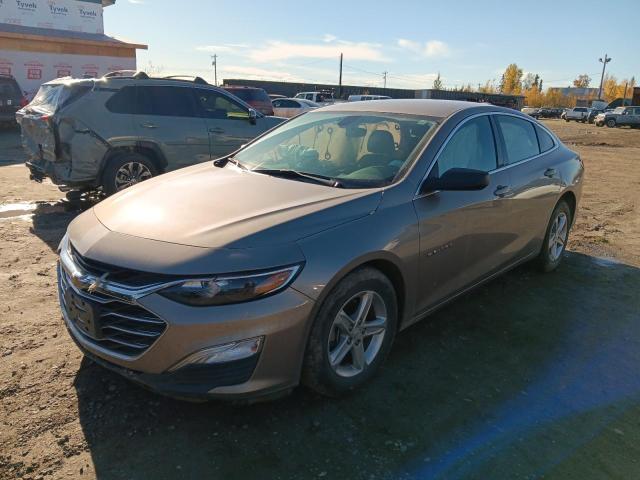 CHEVROLET MALIBU LS 2022