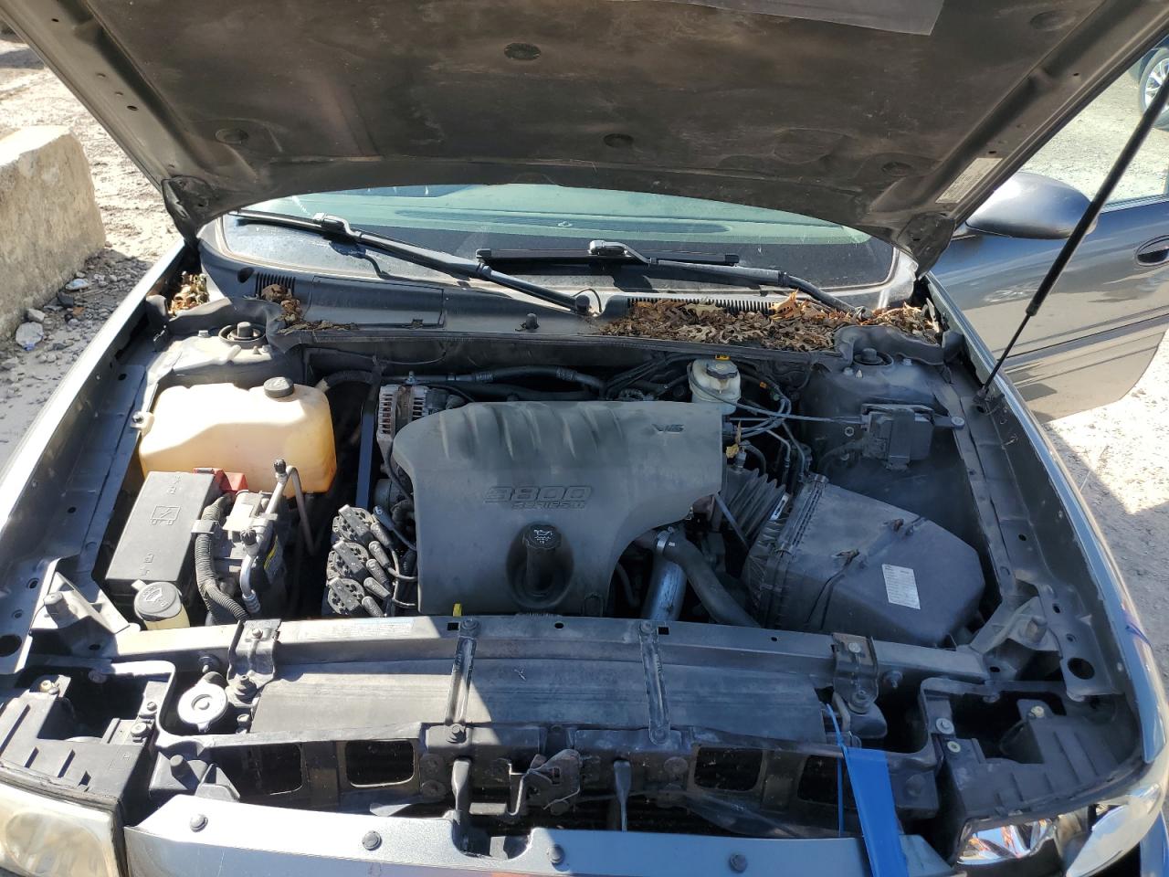 2005 Buick Lesabre Custom VIN: 1G4HP52K65U283185 Lot: 83849365