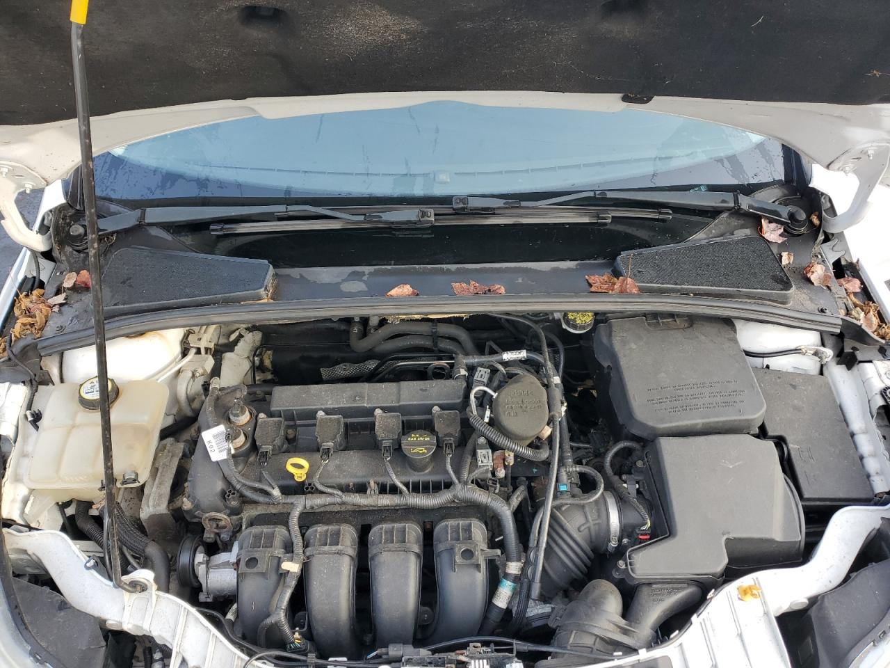 2012 Ford Focus Sel VIN: 1FAHP3H2XCL397702 Lot: 84756505