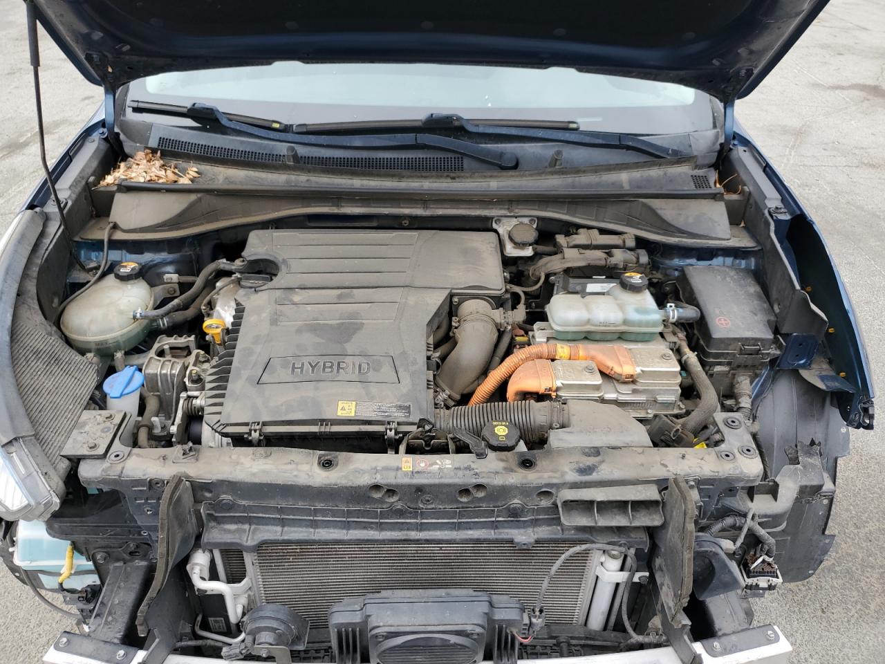 2019 Kia Niro Fe VIN: KNDCB3LC9K5341515 Lot: 81696225