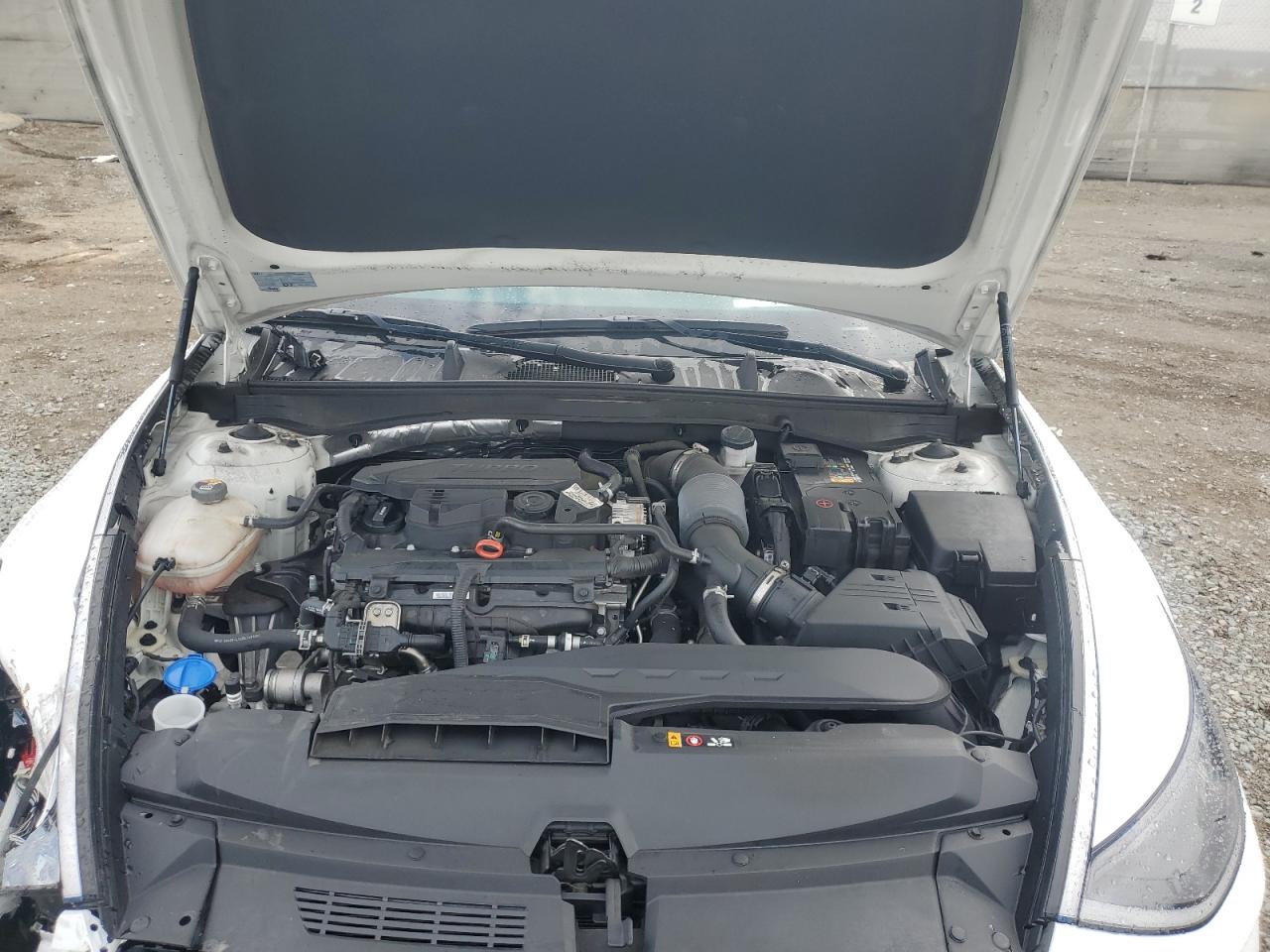 2022 Hyundai Sonata Limited VIN: KMHL34J25NA178978 Lot: 81622615