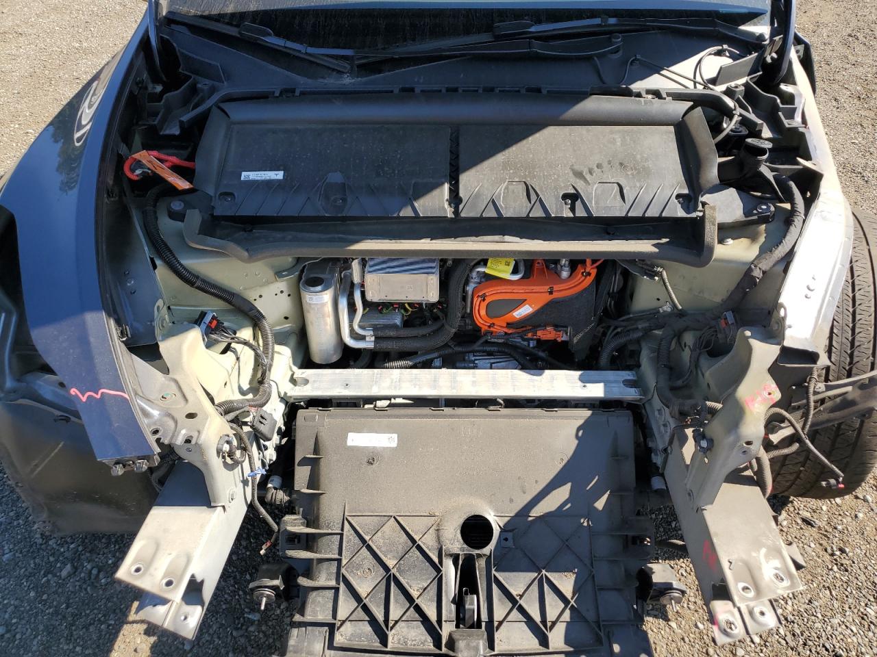 2023 Tesla Model Y VIN: 7SAYGDEE6PF921891 Lot: 82118335