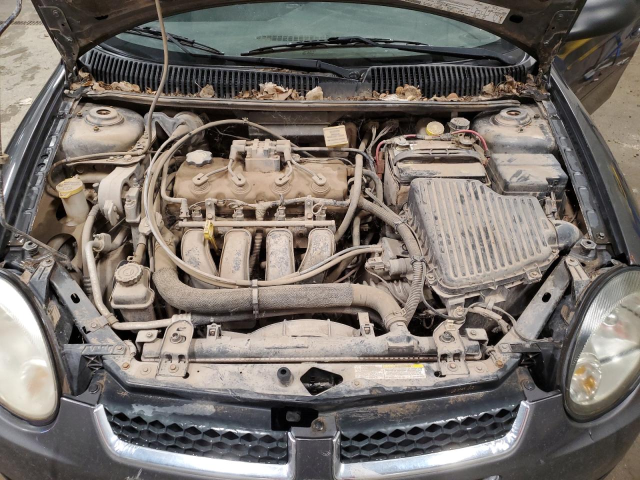 2004 Dodge Neon Sxt VIN: 1B3ES56C54D552110 Lot: 81153595