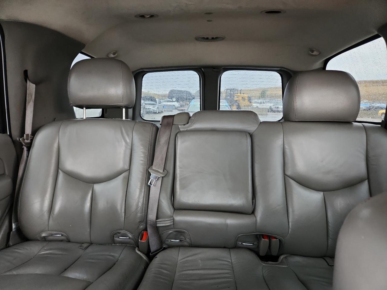 2004 Chevrolet Tahoe K1500 VIN: 1GNEK13Z14R232034 Lot: 81689425