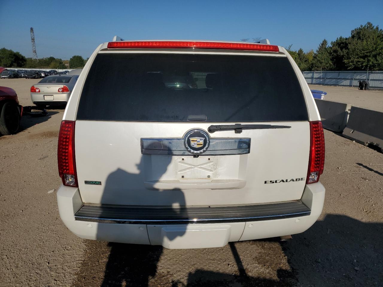 2010 Cadillac Escalade Esv Premium VIN: 1GYUKJEF0AR284266 Lot: 84267955