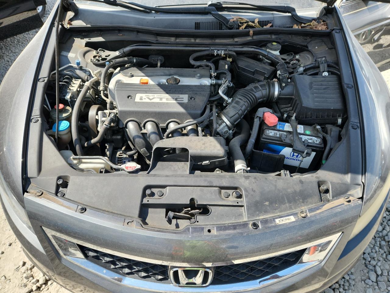 2009 Honda Accord Lx VIN: 1HGCS123X9A022441 Lot: 81638875