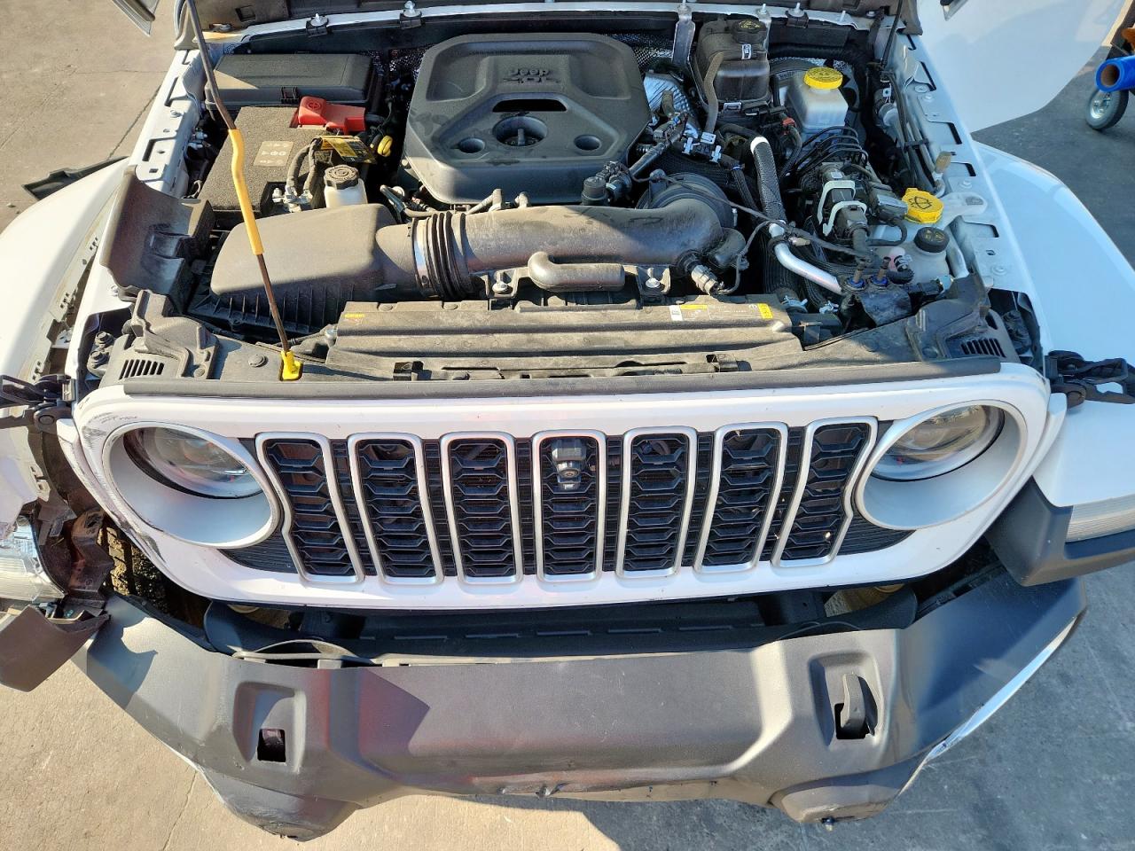 2024 Jeep Wrangler Sahara VIN: 1C4PJXEN3RW105988 Lot: 71717955