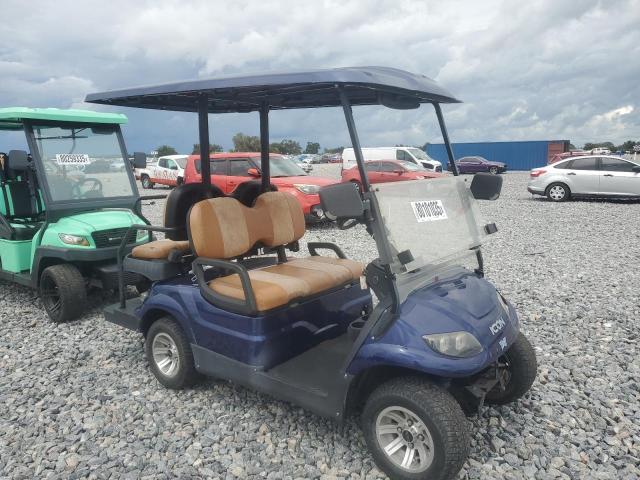 2019 'OTHER RV' GOLF CART   for sale at Copart FL - PUNTA GORDA