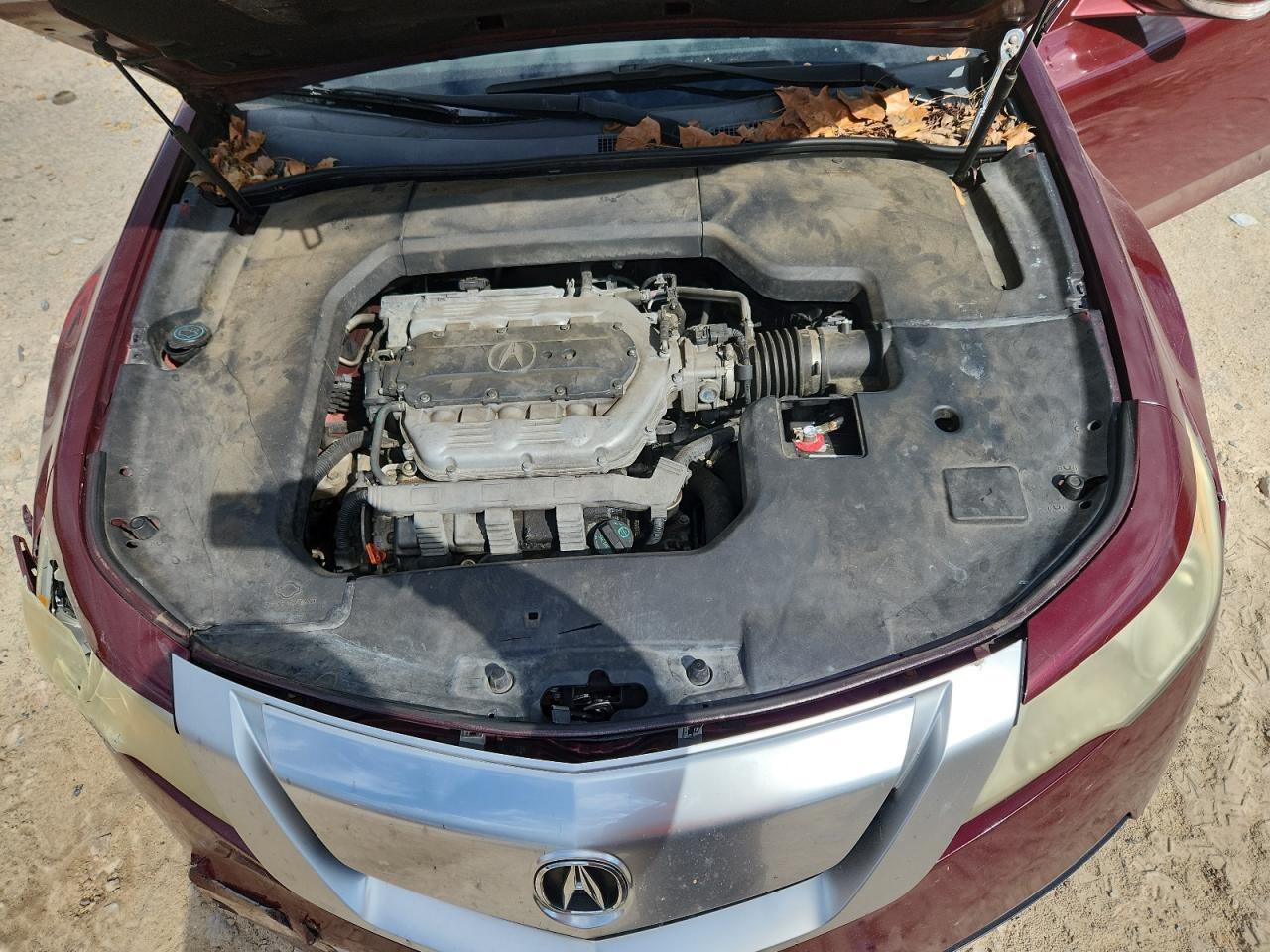 2009 Acura Tl VIN: 19UUA86229A016747 Lot: 81905875