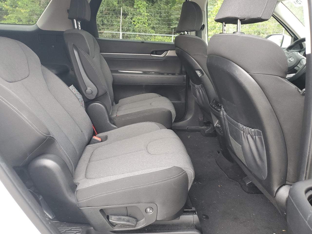 2020 Hyundai Palisade Sel VIN: KM8R34HE4LU094544 Lot: 69973975