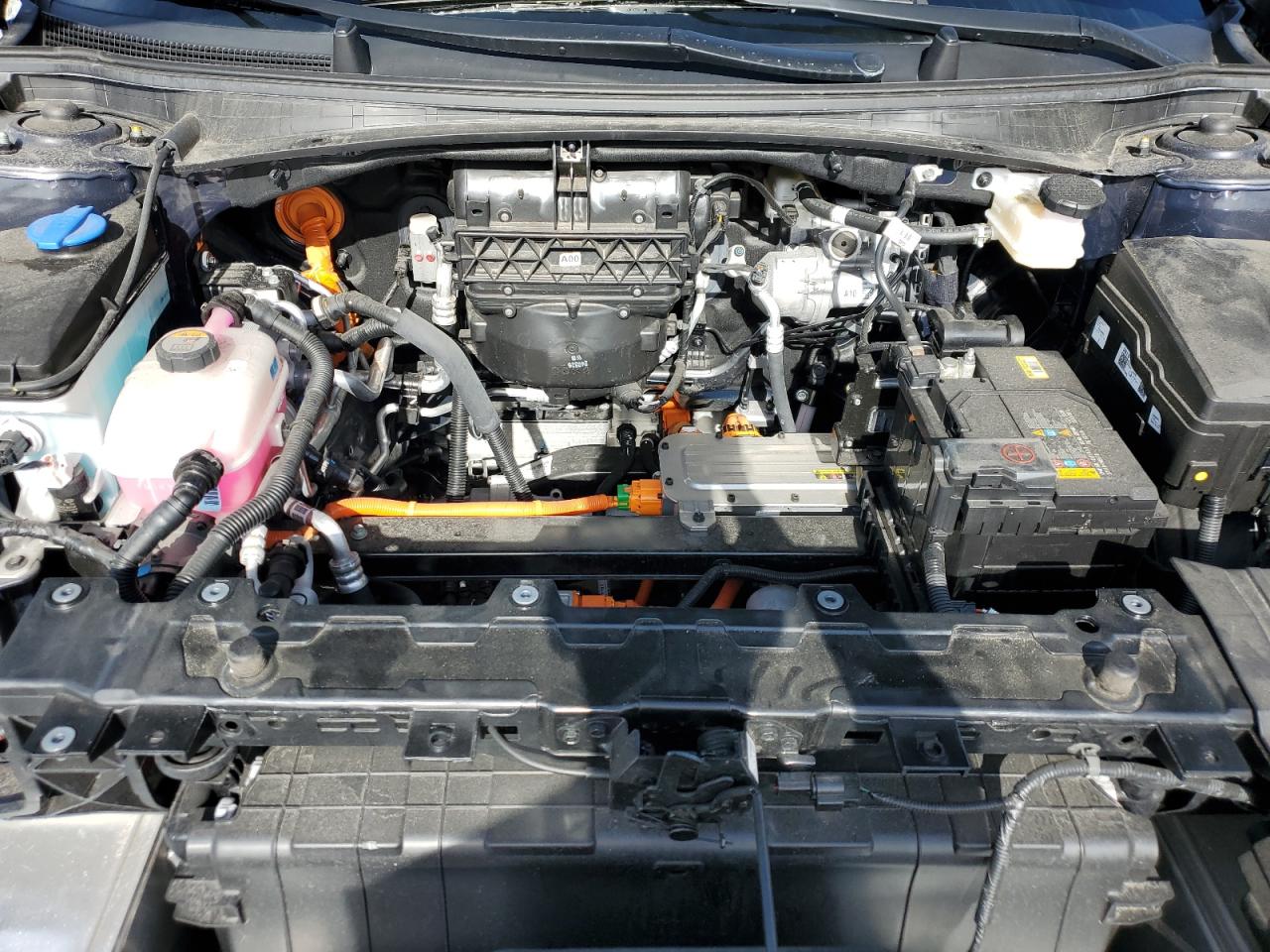 2024 Kia Ev6 Light VIN: KNDC34LA7R5218193 Lot: 80823305