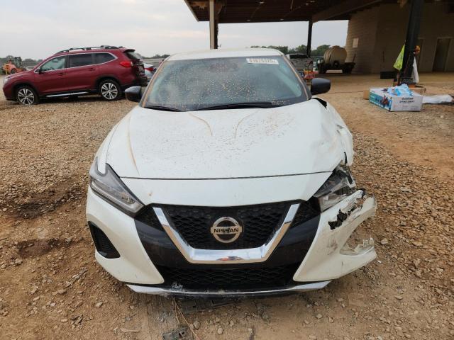 NISSAN MAXIMA 2020 Белы