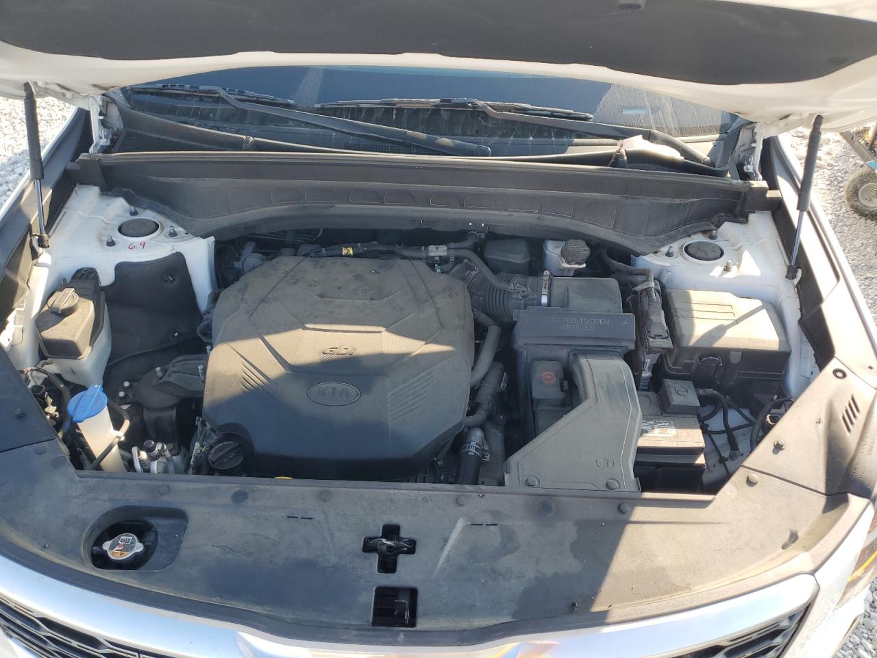 2020 Kia Telluride Sx VIN: 5XYP54HC5LG067584 Lot: 80866035