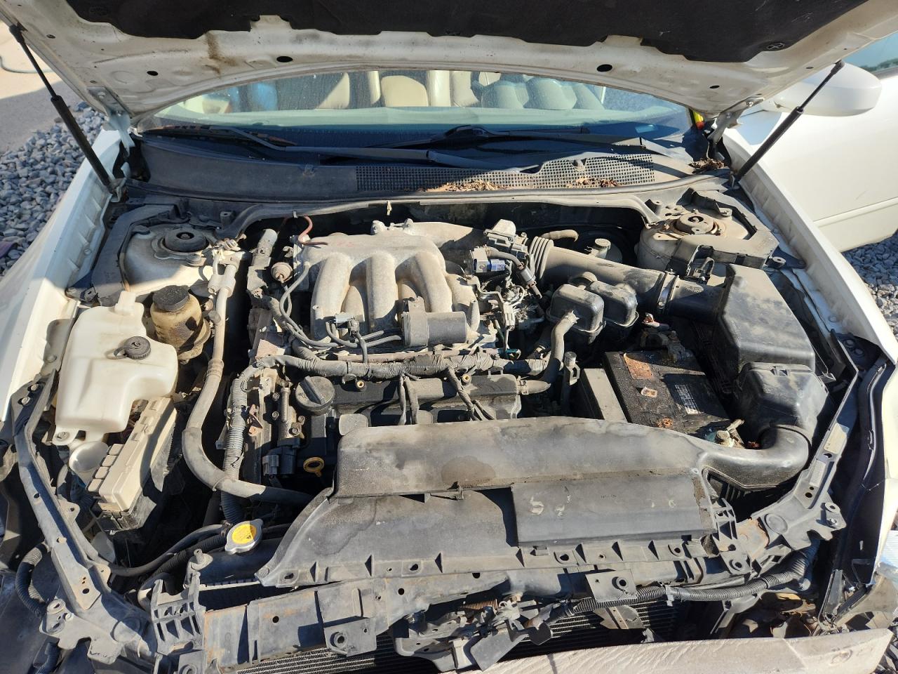 2004 Nissan Maxima Se VIN: 1N4BA41E64C924184 Lot: 71035535