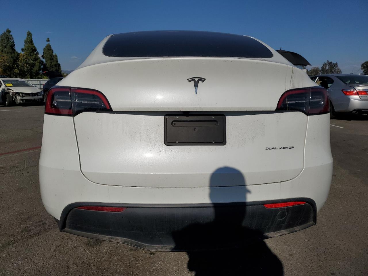 2023 Tesla Model Y VIN: 7SAYGDEE8PF875593 Lot: 81567485