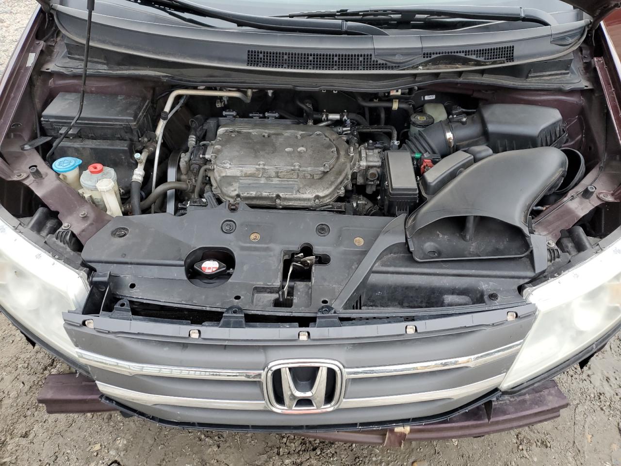 2011 Honda Odyssey Exl VIN: 5FNRL5H6XBB055077 Lot: 84426535