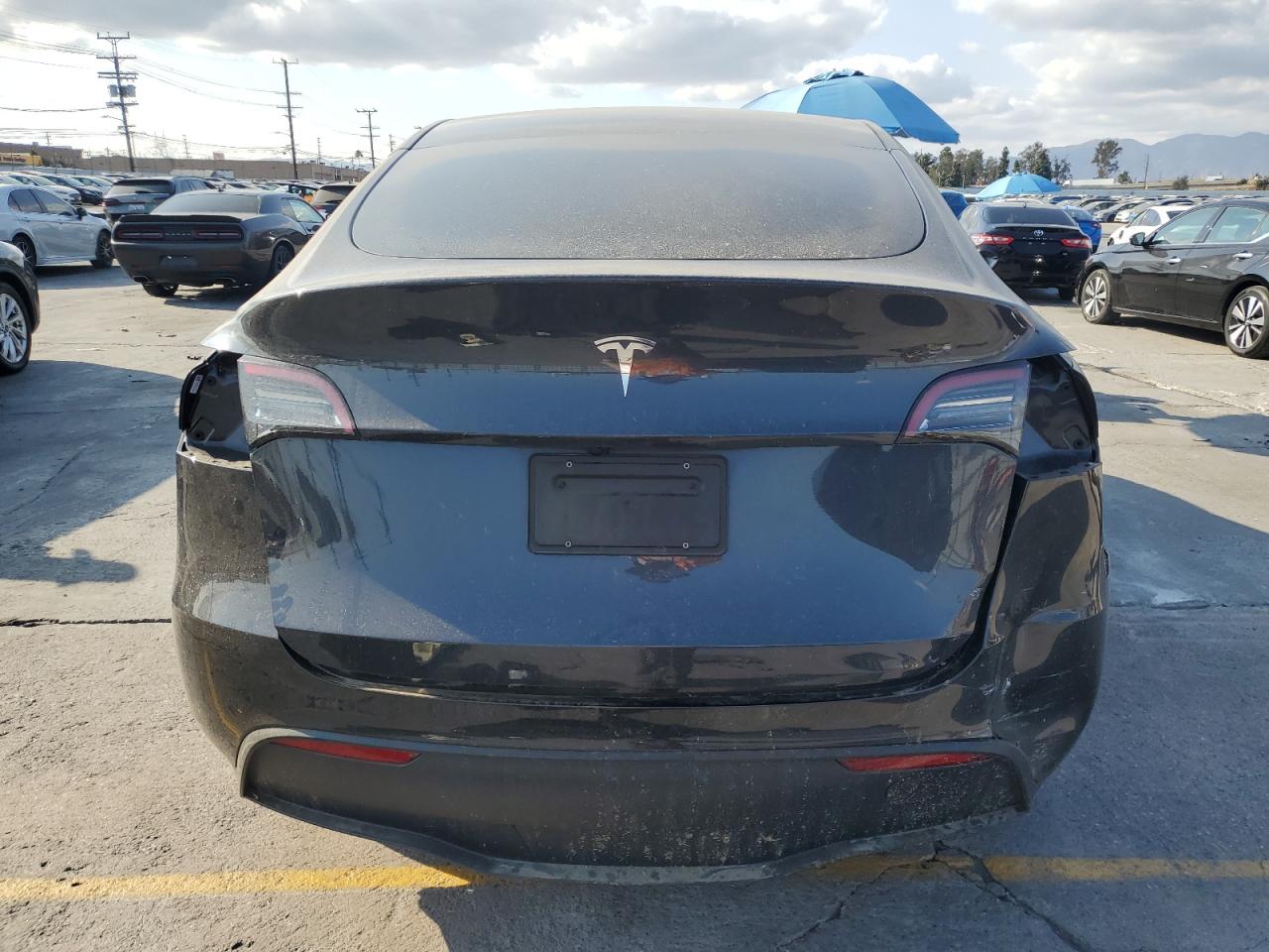 2024 Tesla Model Y VIN: 7SAYGDED7RF002959 Lot: 80151015