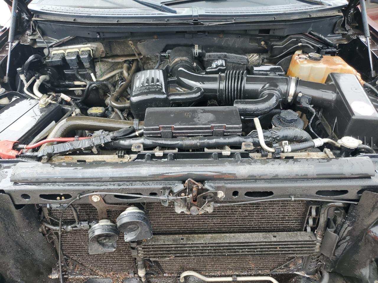 2010 Ford F150 Supercrew VIN: 1FTFW1EVXAFB83067 Lot: 83814455