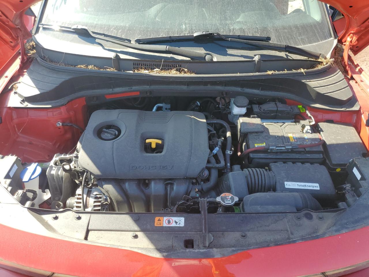 2023 Kia Soul Lx VIN: KNDJ23AU0P7202937 Lot: 71004435