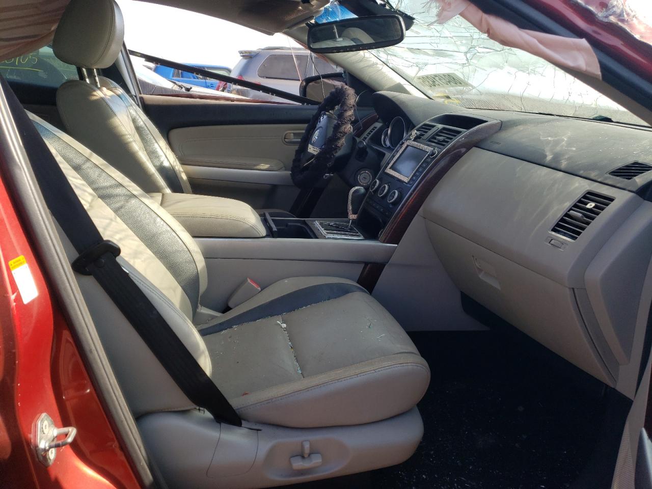 2009 Mazda Cx-9 VIN: JM3TB38A490173238 Lot: 80451935