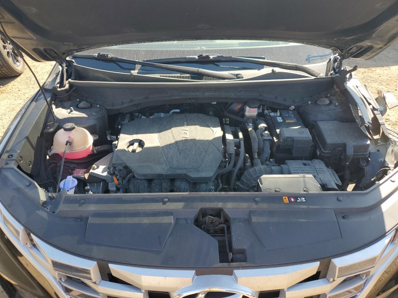 2022 Hyundai Santa Cruz Sel VIN: 5NTJCDAE6NH023632 Lot: 84248065