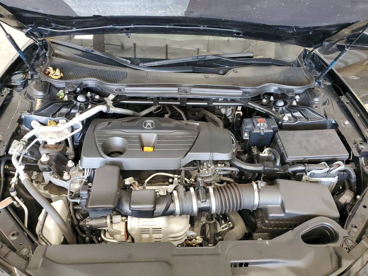 2023 Acura Tlx Tech A VIN: 19UUB5F52PA003502 Lot: 84040285