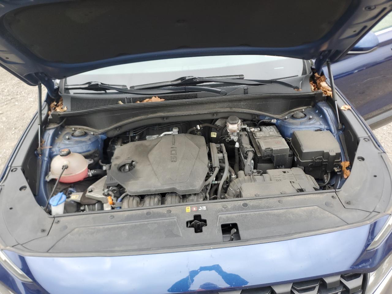 2021 Hyundai Santa Fe Se VIN: 5NMS1DAJ0MH344826 Lot: 81576985