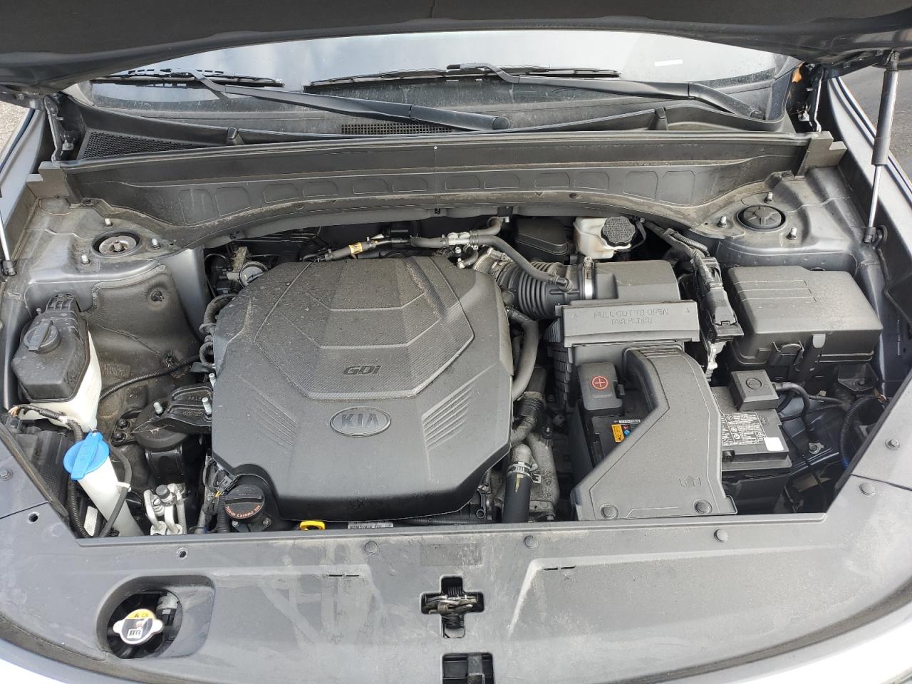 2021 Kia Telluride S VIN: 5XYP6DHC4MG124954 Lot: 81621935