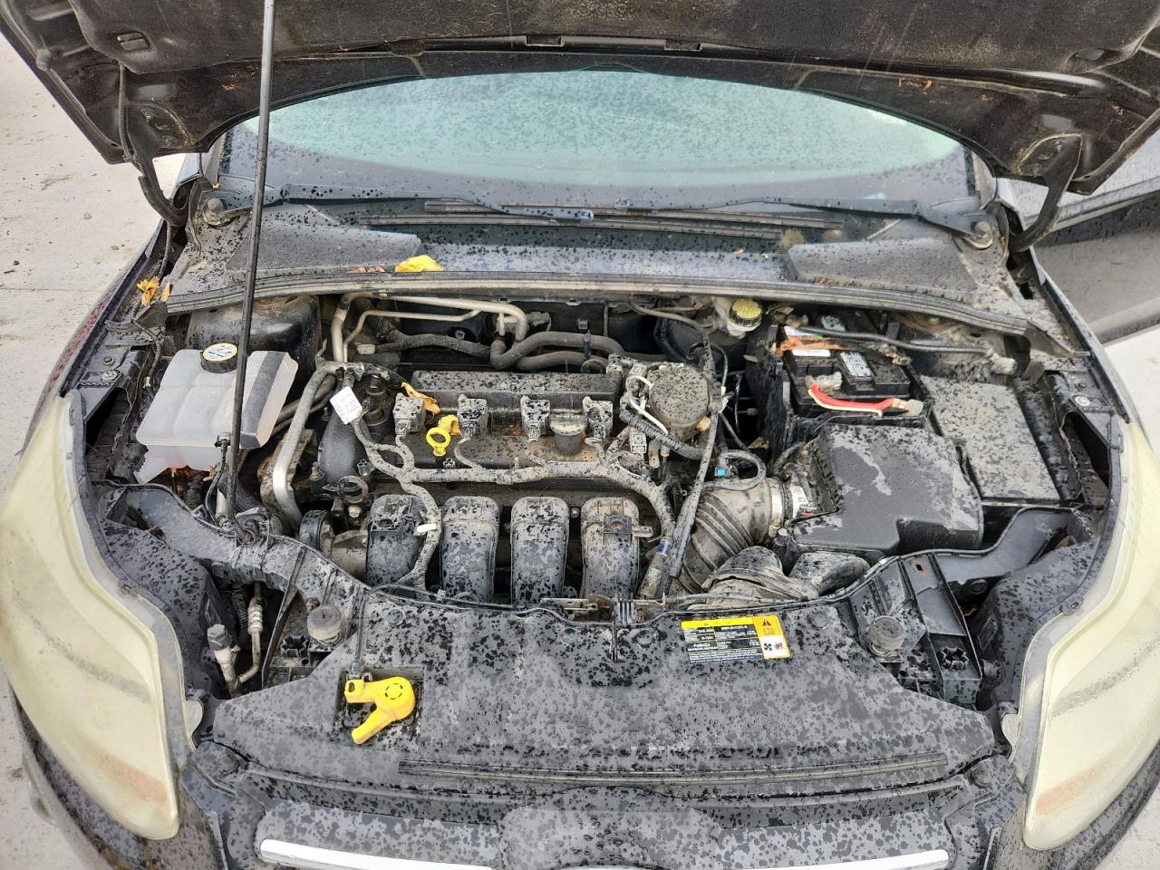 2012 Ford Focus Se VIN: 1FAHP3F2XCL157407 Lot: 81580755