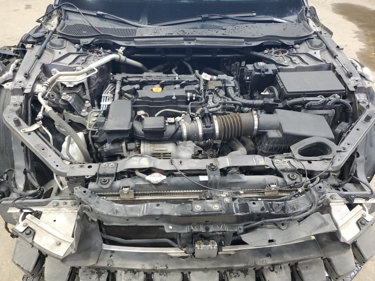 2023 Acura Tlx Tech A VIN: 19UUB5F51PA000073 Lot: 81461165