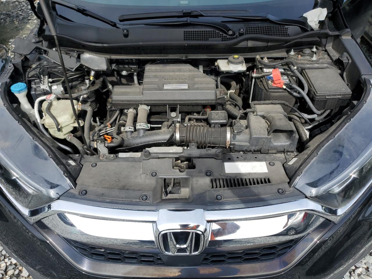 2019 Honda Cr-V Ex VIN: 2HKRW2H57KH613448 Lot: 71790445