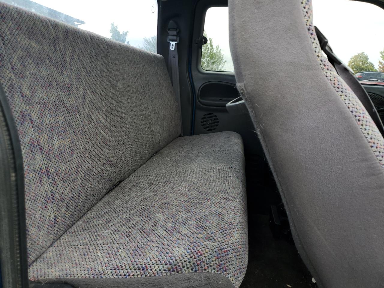 1999 Dodge Ram 1500 VIN: 3B7HF13Z4XG110167 Lot: 71137085