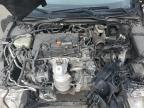 2017 HONDA CIVIC LX à vendre chez Copart FL - MIAMI CENTRAL