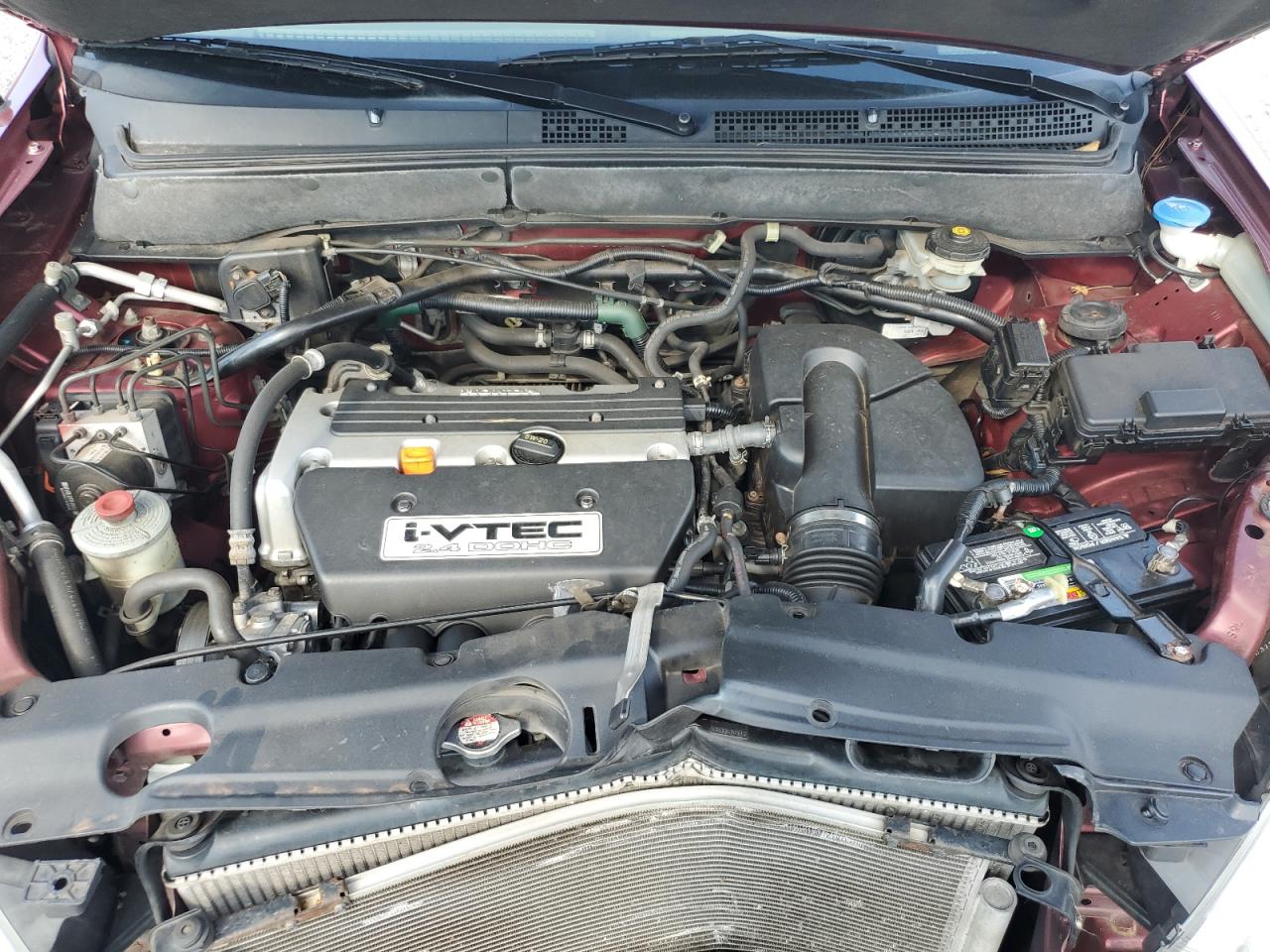 2005 Honda Cr-V Ex VIN: SHSRD78855U311181 Lot: 81126655