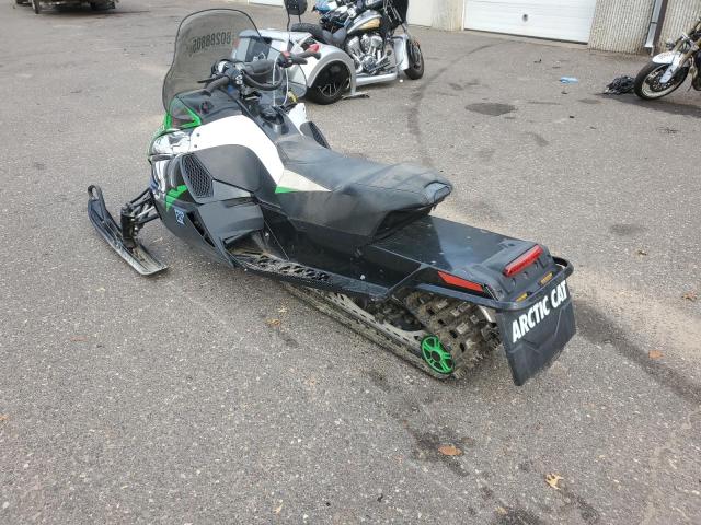 2010 ARCT SNOPRO  