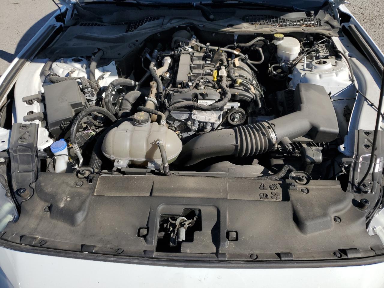 2023 Ford Mustang VIN: 1FA6P8TH0P5101855 Lot: 81621795