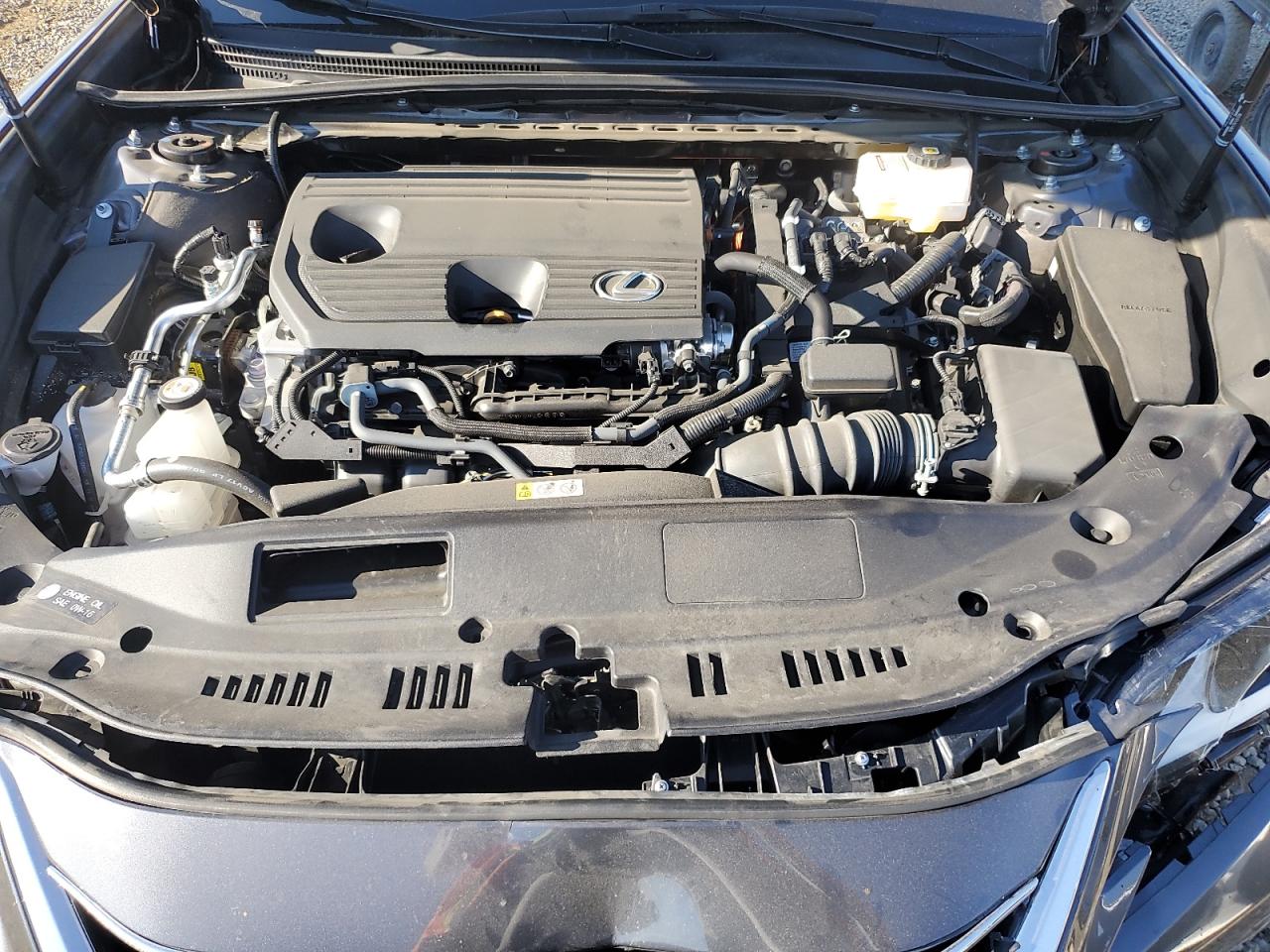 2024 Lexus Es 300H Base VIN: 58ADA1C14RU049558 Lot: 81157465