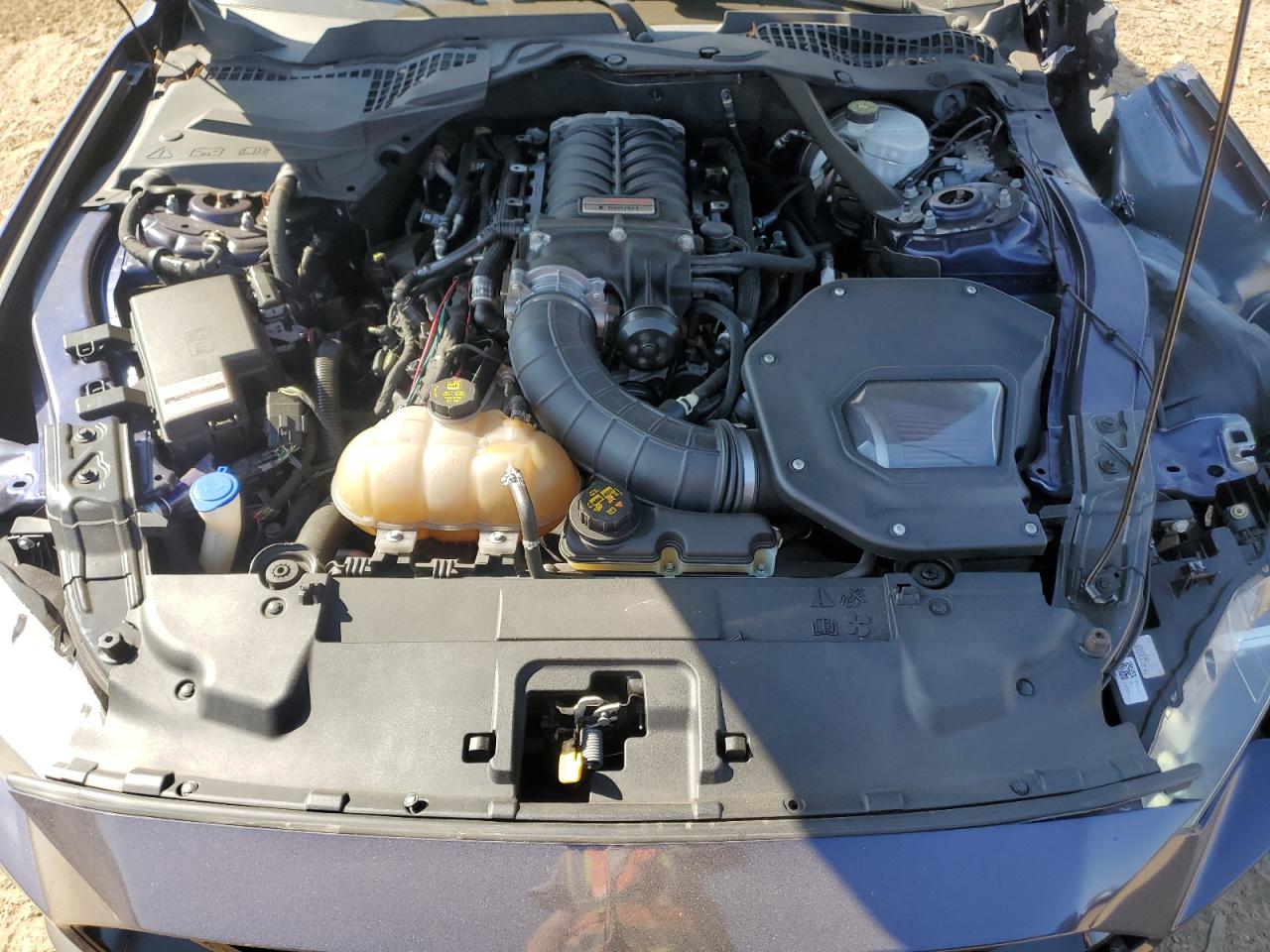 2020 Ford Mustang Gt VIN: 1FA6P8CFXL5124021 Lot: 81837985