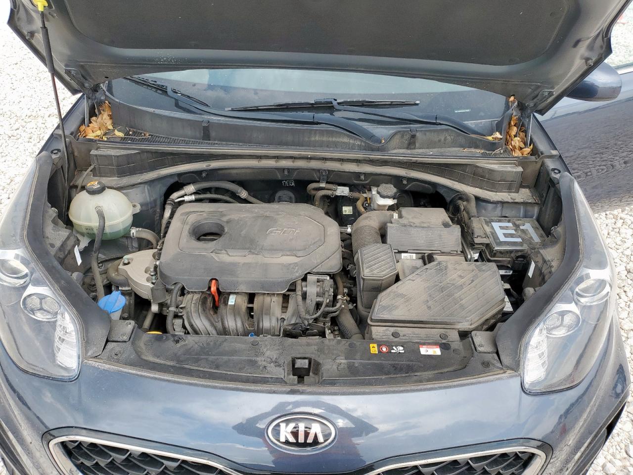 2020 Kia Sportage Lx VIN: KNDPM3AC5L7745674 Lot: 81033975