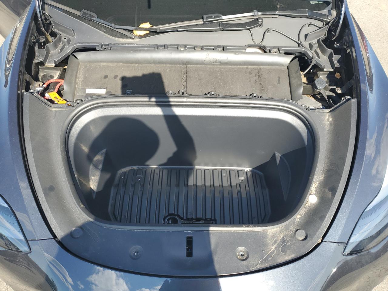 2024 Tesla Model Y VIN: 7SAYGDED3RF197801 Lot: 71172995