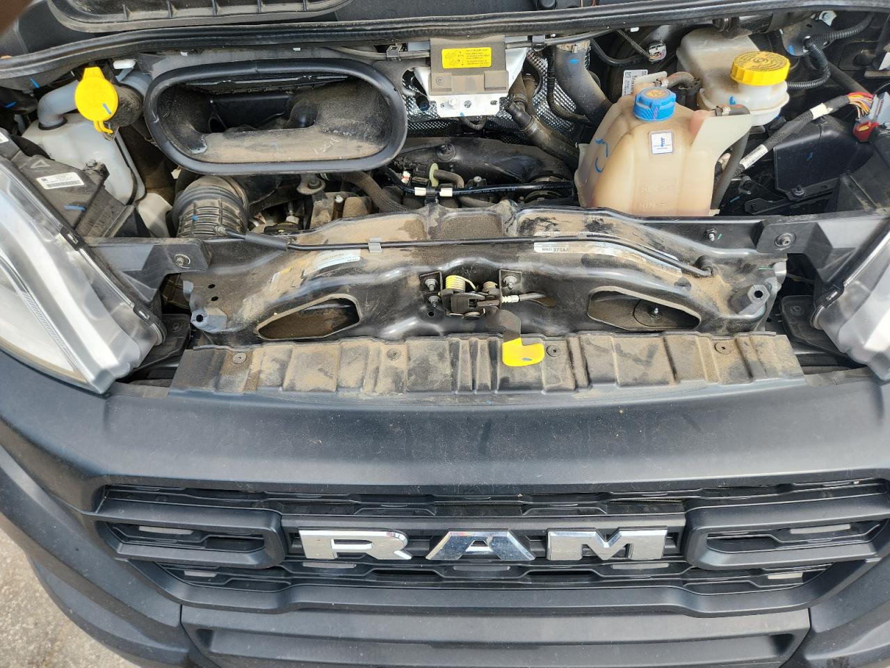 2024 Ram Promaster 2500 2500 High VIN: 3C6LRVDG1RE133711 Lot: 81678465