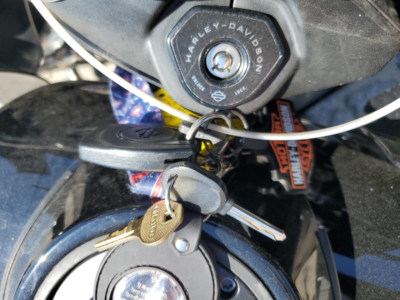 2025 Harley-Davidson Fltrx VIN: 1HD1KH713SB631455 Lot: 80129625