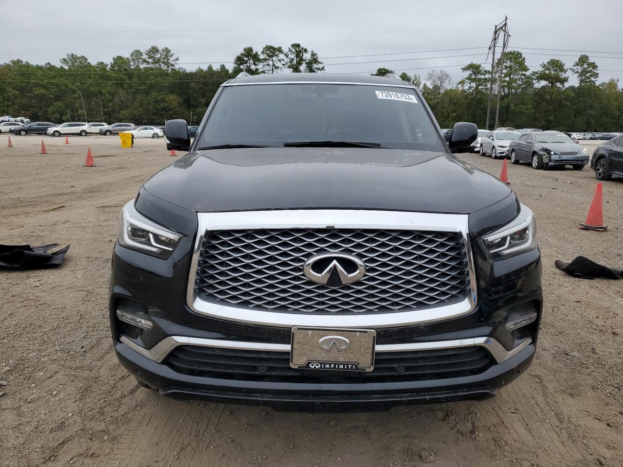 2018 Infiniti Qx80 Base VIN: JN8AZ2NE7J9190424 Lot: 73916753
