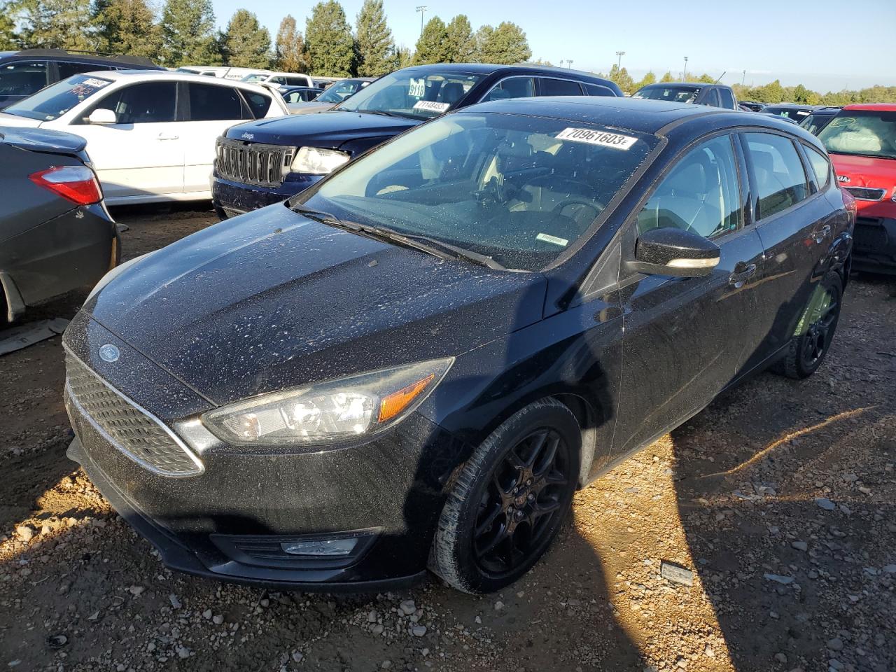 2016 Ford Focus Se VIN: 1FADP3K24GL307537 Lot: 70961603