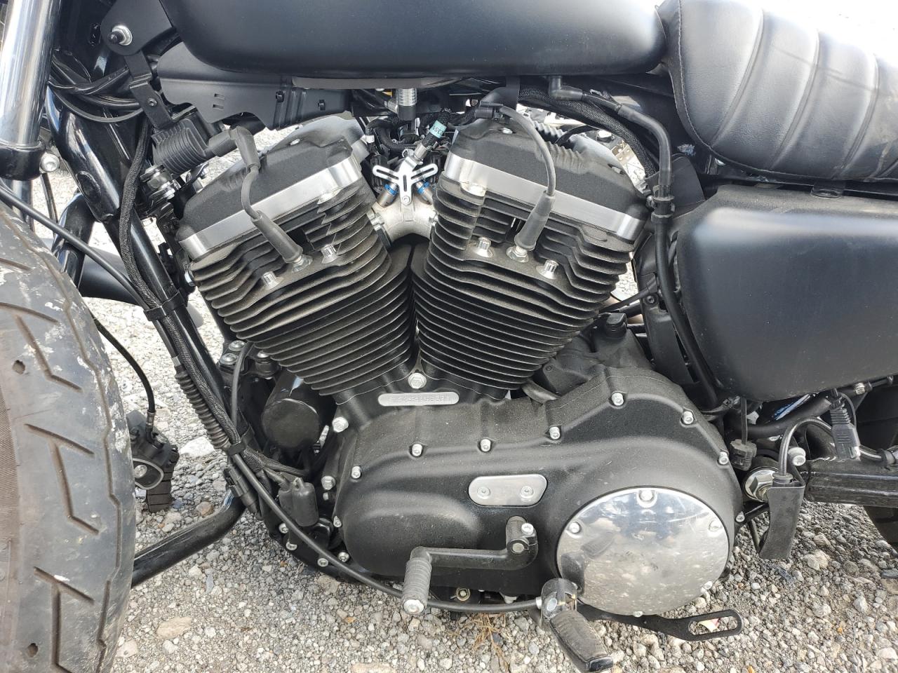 2021 Harley-Davidson Xl883 N VIN: 1HD4LE218MB419833 Lot: 71254383