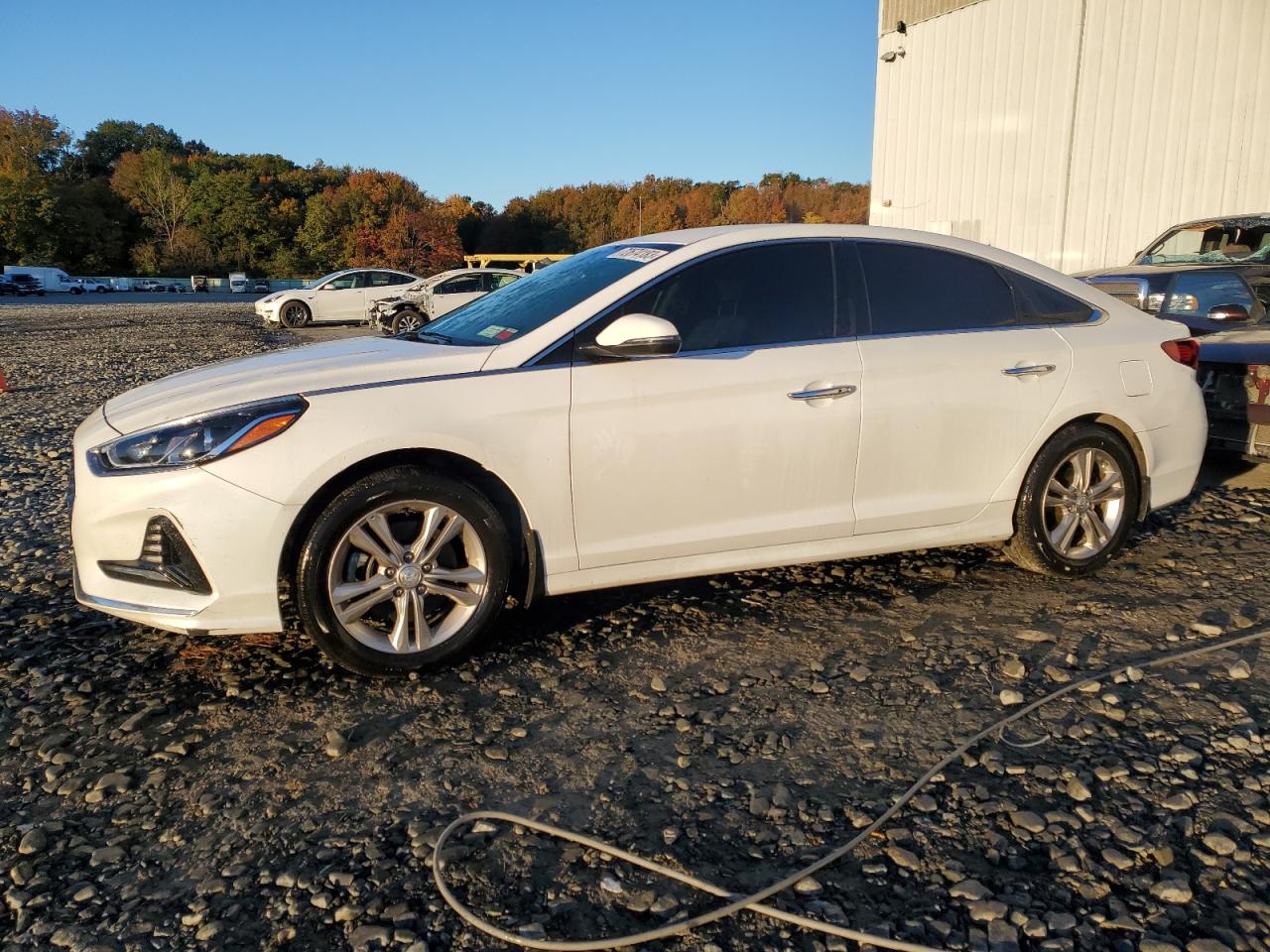 5NPE34AF9JH691864 2018 Hyundai Sonata Sport