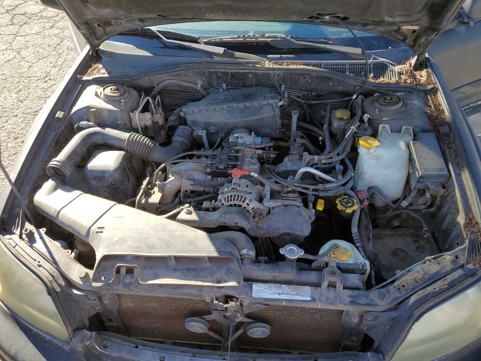 4S4BT61C537101196 2003 Subaru Baja